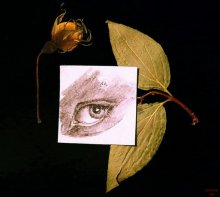 Stillleben mit einem Auge / -------------------------