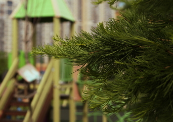 Der Winter kommt / ***