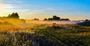 Nebliger Morgen / ***