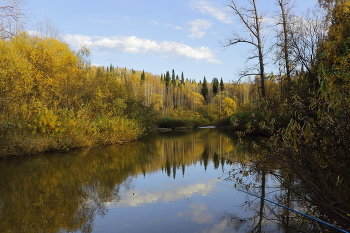 Autumn Gold / ***