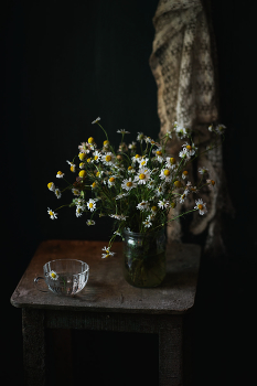 Mit Gänseblümchen ... / ***