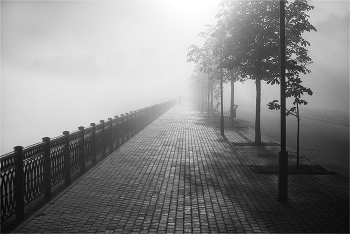 Quay Nebel / ***