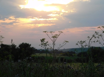 Abendlicht / ***