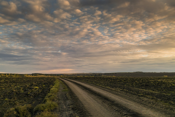 Wolken / ***