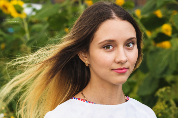 Girl in Sonnenblumen / ***