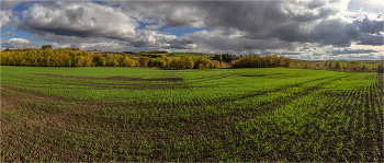 Herbst Feld / ***