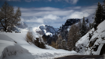Nach Schneefall / ***