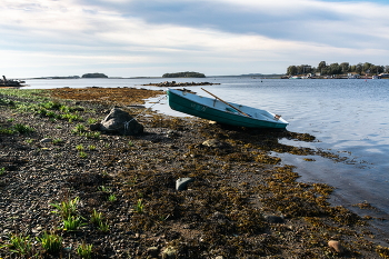 Ebbe / ***