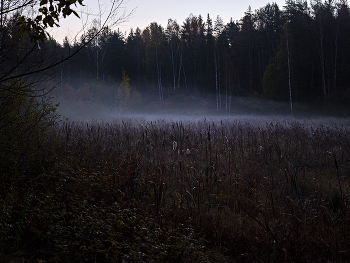 Frühmorgen. / ***
