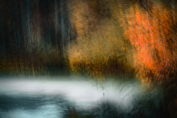 Herbst-Teich / ***