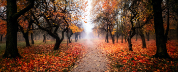 über Herbst / ***