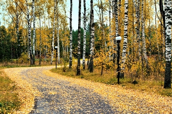 Herbststraße / ***