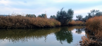 Wasser / ***