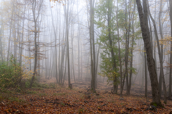 Oktober / ***
