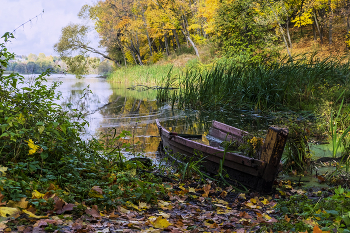 Herbst Trauer / ***