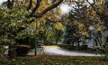 Herbst in der Stadt / ***