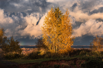 Fragmente des Herbstes / ***