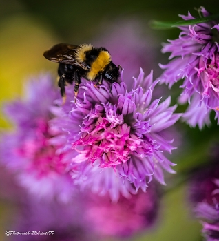 Bei der Arbeit / ***