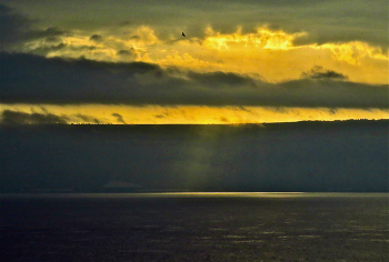 Morgendämmerung / ***