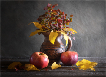  / https://irina-pro-photo.ru/still-lifes