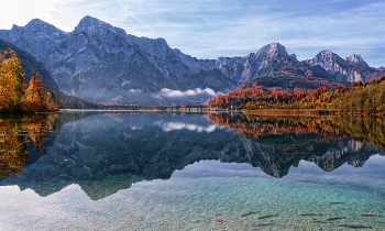 Goldener Herbst / ***