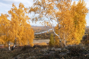 Goldener Herbst / ***