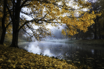 November / ***