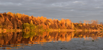 Herbst / ***