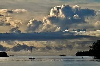 September Morgen / ***