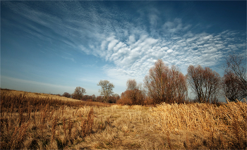 Im vergangenen Herbst Akkorden / ***