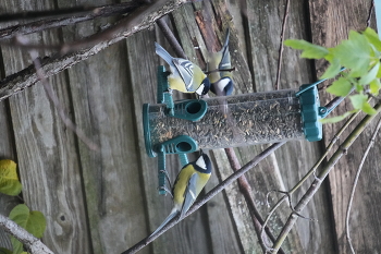 Nachdenken über die drei? / ***