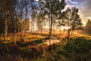 Sonnenaufgang über dem Fluss / ***