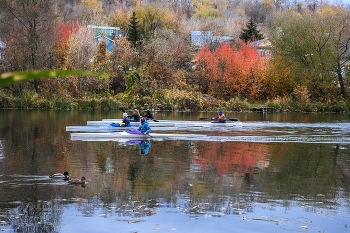 Über Herbst ... / ***