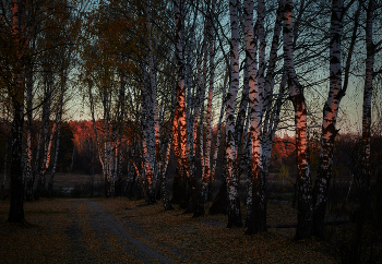 Letzter Strahl / ***