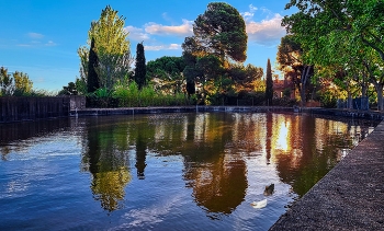 Reus - Boca de la Mina (bassa del Bacallà) - Baix Camp / Reus - Boca de la Mina (bassa del Bacallà) - Baix Camp