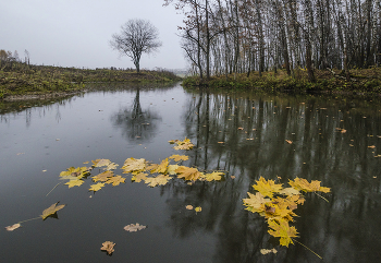 Unvermeidlichkeit / ***