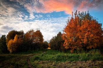 Herbst / ***