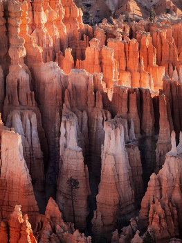 In Gefangenschaft / ***