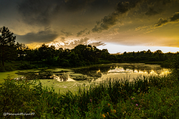 Abenddämmerung / ***