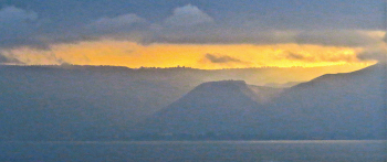 Sonnenaufgang im Wald / ***