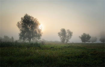 Ruhe und Frieden / ***