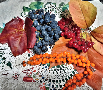 Autumn Gaben der Natur / ***