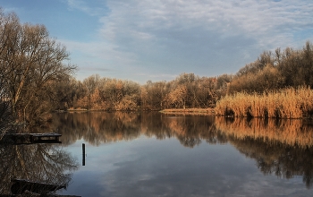 In den goldenen Herbst / ***