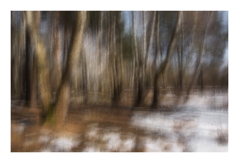 Frühlingsthema / ***