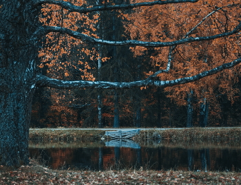 Spätherbst / No comments.