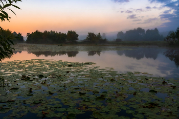 Morgendämmerung / ***