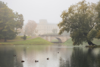 Nebliger Morgen / ***