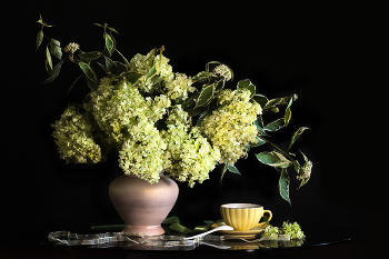 Vecherniy chai / ***