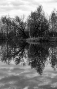 X-files / [url=https://pic.maxiol.com/?v=1762204464.3105915962.img0077m1000v.jpg&amp;dp=2][img]https://pic.maxiol.com/thumbs2/1762204464.3105915962.img0077m1000v.jpg[/img][/url]