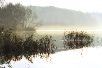 Stolz der Morgen / ***